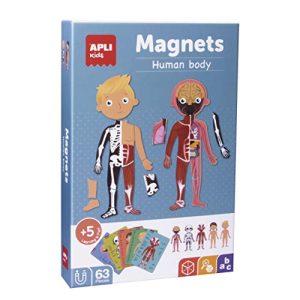 APLI Kids 18531 - Jogo Magnético Educativo sobre o Corpo Humano para crianças a partir de 5 anos.
