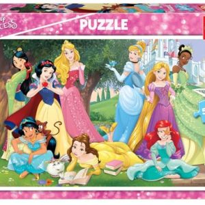 Educa - Quebra-Cabeça de 500 Peças para Adultos | Princesas Disney. Inclui Cola Fix Puzzle. Medida uma vez montado: 46 x 34 cm. A partir de 11 anos (17723)